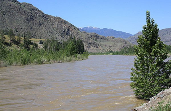 Similkameen River swells to the top of its banks near Cawston Thursday afternoon.